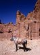 Jordan: A horse awaits visitors outside the Urn Tomb, Petra